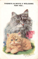 ANIMAUX - Chats - There's Always A Welcome For You - Colorisé - Carte Postale Ancienne - Cats