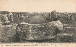 FRANCE - Carnac - Alignements Du Mènec - Composé De 1169 Menhirs Debout Sur 11 Rangées - Carte Postale Ancienne - Carnac