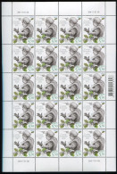 Estonia:Unused Sheet Composer Gustav Ernesaks 100, 2008, MNH - Estonie