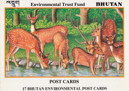 BHUTAN Post 1993 Set Of 17 Environmental Trust Fund Postcards, Unused In Cover Bhoutan Fauna Flora P&T Issue - Bután