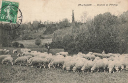 Ormesson * Troupeau De Moutons Au Pâturage * Berger - Sonstige & Ohne Zuordnung