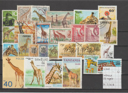 (TJ) Zoogdieren - Giraf - Wereld 27 Zegels (gest./obl./used) - Girafes