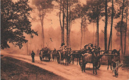 Landes * Effet De Brume Dans La Forêt * Les Bross * Types Attelage De Bois * Métier - Andere & Zonder Classificatie