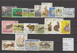 (TJ) Zoogdieren - Knaagdieren - Konijn & Haas - Europa 19 Zegels (gest./obl./used) - Rongeurs