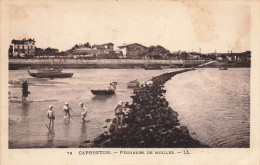 Capbreton * Pêcheurs De Moules * Pêche à Pied - Capbreton