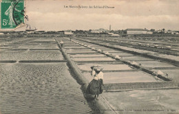 Les Sables D'olonne * Les Marais Salants * Paludier Sel - Sables D'Olonne