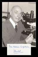 Jean Brachet (1909-1988) - Belgian Biochemist - RNA - Signed Card + Photo - 1987 - Inventeurs & Scientifiques