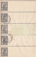 KING CAROL I, NEWSPAPER WRAPPING STATIONERY, ENTIER POSTAL, 1907, ROMANIA - Covers & Documents