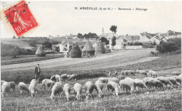 91 MEREVILLE - Renonval - Paturage - Troupeau De Moutons - Mereville