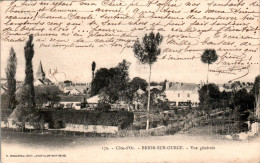 Brion-sur-Ource Canton De Montigny-sur-Aube Vue Générale Côte-D'Or 21570 N°170 Dos Non Divisé Cpa Voyagée En 1904 B.Etat - Autres & Non Classés