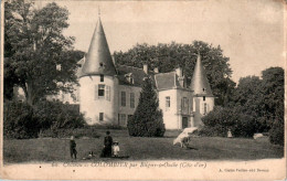 Bligny-sur-Ouche Château De Colombier Castle Côte-D'Or 21360 N°60 Cpa Voyagée En 1905 En B.Etat - Autres & Non Classés