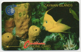 Cayman Islands - Fish & Coral - 3CCIC - Kaaimaneilanden