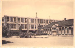 BELGIQUE - Montegnée - Ecole Fleurie - Centre - Carte Postale Ancienne - Autres & Non Classés