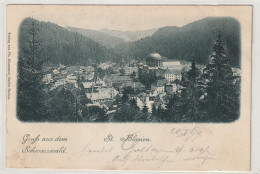 St. Blasien 1899, Zugstempel Konstanz-Basel - St. Blasien