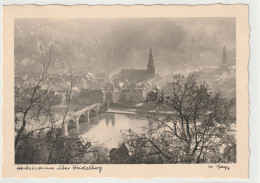 Herbstsonne über Heidelberg - Heidelberg