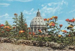 N3709 Roma - Città Del Vaticano - La Cupola Di San Pietro Dai Giardini Vaticani / Non Viaggiata - Vatican