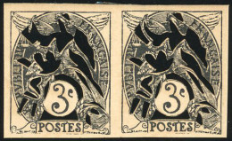 (*) 109 - 3c. Type Blanc. Paire. Coussinet D'impression En Noir. SUP. R. - Autres & Non Classés