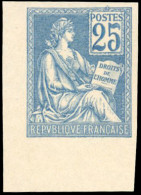 ** 114d - 25c. Mouchon Bleu. Coin De Feuille. ND. SUP. - Andere & Zonder Classificatie