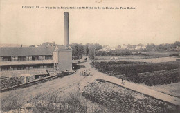 Bagneux          92       Briquetterie Des Sablons        (voir Scan) - Bagneux