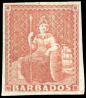 * SG#5 - (4d.) Brownish Red. SUP. - Barbades (...-1966)