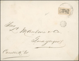 Obl. 6 - 0,20c. Obl. S/lettre Frappée Du CàD CORREOS NACIONALES TUMACO Du 17 Février 1901 à Destination De GUAYAQUIL - E - Colombie