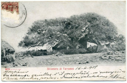 XERI.7  Sicomero Di Terramni - 1905 - Eritrea