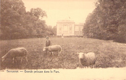 BELGIQUE - Tervueren - Grande Pelouse Dans Le Parc  - Carte Postale Ancienne - Tervuren