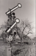 EISENBAHN FOTO: Signalanlage An Der Bahnstrecke, Um 1955 - Ferrocarril