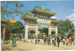 CHINA POST CARD CHING CHUNG KOON 1974 - Chine