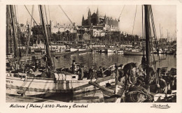 ESPAGNE - Mallorca - Palma - Port Et La Cathédrale - Carte Postale Ancienne - Palma De Mallorca