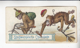 Stollwerck Album No 4  Affenstreiche Radfahren  Grp 187# 3 Von 1900 - Stollwerck