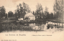 BELGIQUE - Les Environs De Bruxelles - L'Etang De Pêche Royale à Watermael - Carte Postale Ancienne - Sonstige & Ohne Zuordnung