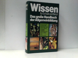 Wissen Für Schule Und Beruf. Das Große Handbuch Der Allgemeinbildung - Léxicos