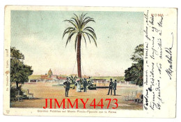 ROMA Lazio En 1902 - Giardino Pubblico Sul Monte Pincio Piazzale Con La Palma Dr.Trenkler Lipsia - Parks & Gärten
