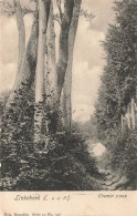 [-5%] BELGIQUE - Linkebeek - Chemin Creux - Carte Postale Ancienne - Linkebeek