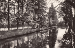 CPA - St Vrain - Les Bords De La Juine - La Route D'Itteville - Saint Vrain