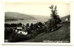 CPSM GEP  9 X 14  Isère Lac De PALADRU   Vue Générale Et Le Lac - Paladru