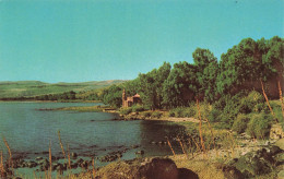 ISRAËL - Tabgha - Au Lac De Galilée - Mensa Domini - Carte Postale - Israël