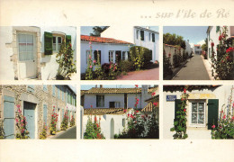 FRANCE - île De Ré - Ruelle Du Centre - Colorisé - Carte Postale - Ile De Ré