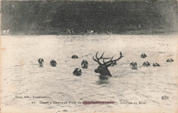 FRANCE - Chasse à Courre En Forêt De Fontainebleau - Bat L'eau En Seine - Cerf - Chiens - Carte Postale Ancienne - Fontainebleau