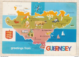 8AK816 GUERNSEY GEOGRAPHIQUE   2 SCANS - Guernsey