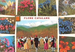 FLEURS - Flore Catalane - Carte Postale Ancienne - Flowers