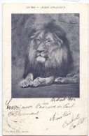 CP - Anvers Antwerpen - Lion , Leeuw - Lions