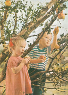 Children Picking Apples , Apple Tree - Arbres