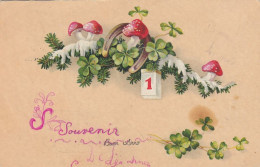 Mushrooms Horseshoe Clover Shamrock Buon Anno New Year Postcard 1937 - Mushrooms