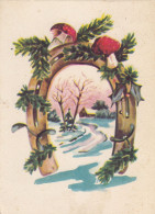 Mushrooms Horseshoe Mistletoe Postcard 1968 - Mushrooms