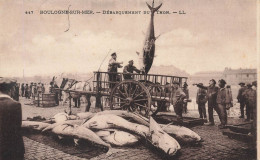 Boulogne Sur Mer * Le Débarquement Du Thon * Pêche Pêcheurs - Boulogne Sur Mer