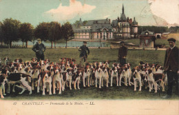 FRANCE - Chantilly - Promenade De La Meute - LL - Chiens - Château - Colorisé - Carte Postale Ancienne - Chantilly