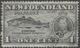 Newfoundland. 1937 Additional Coronation Issue. P14. 1c Used. SG 257 - 1908-1947