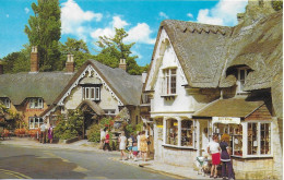 THE OLD VILLAGE, SHANKLIN, ISLE OF WIGHT, ENGLAND. UNUSED POSTCARD   Zq4 - Shanklin